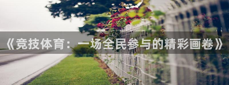 678体育官网