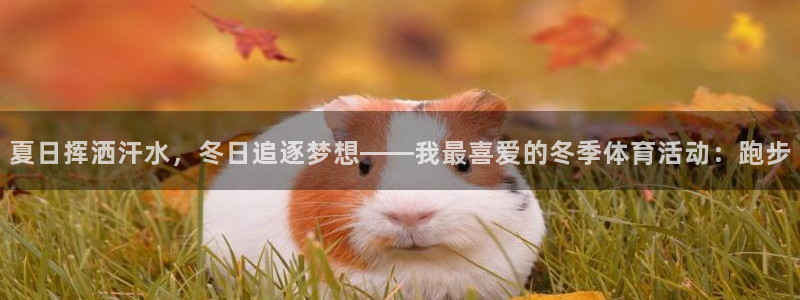 678体育官网下载