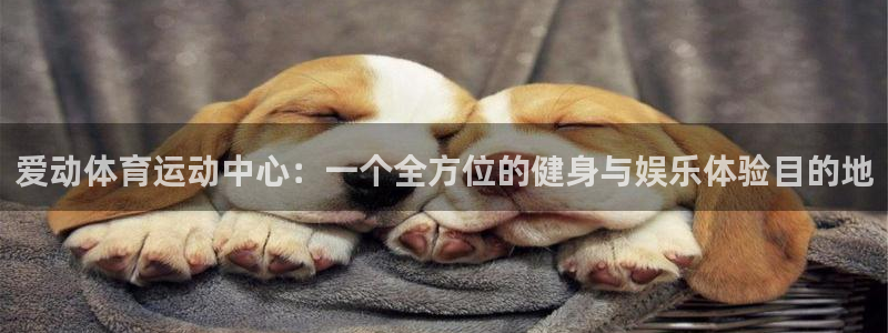 678体育知识