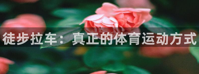 皇冠678体育