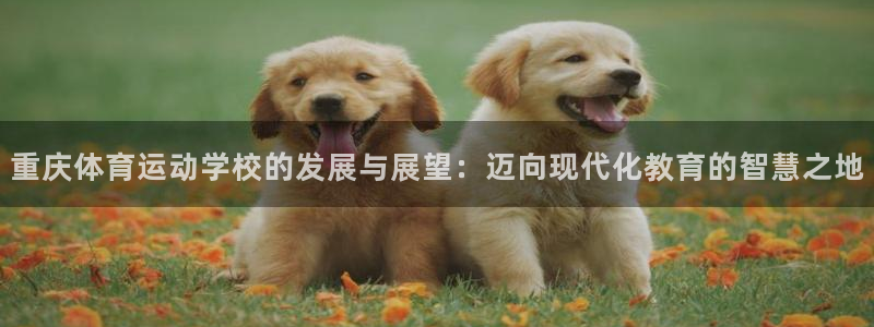 678体育app