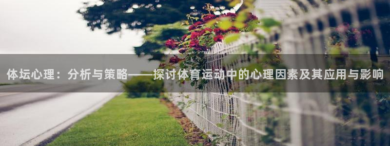 678体育app