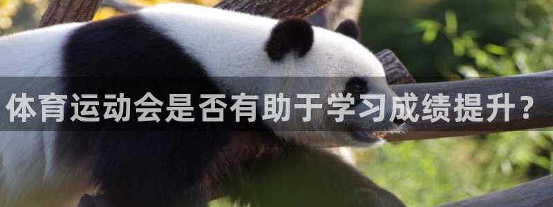 678体育官网