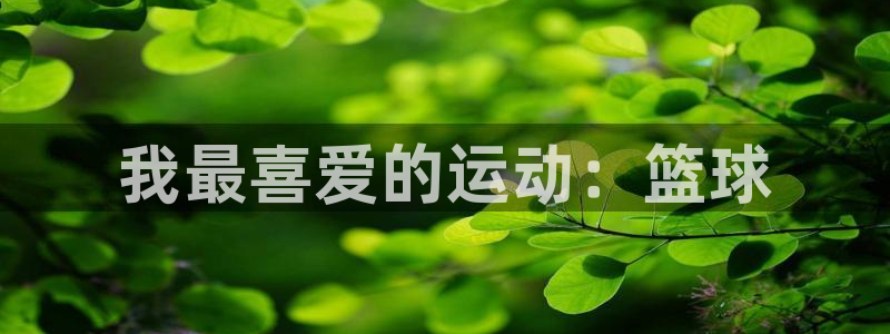 678体育官网地址