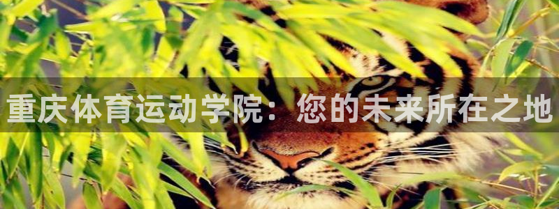 678体育官网
