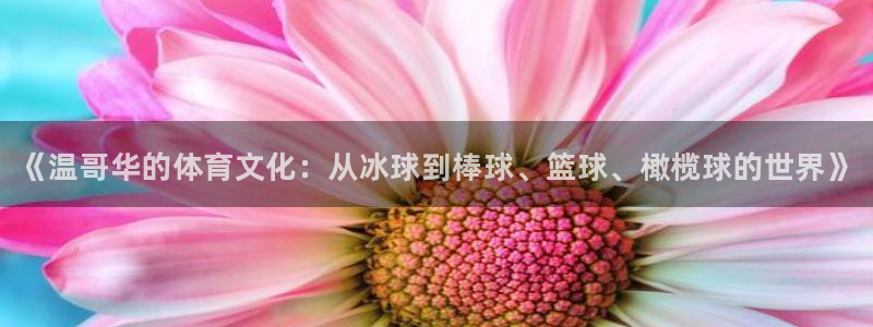 678体育app：《温哥华的体育文化：从冰球到棒球、篮球、橄榄球的世界》