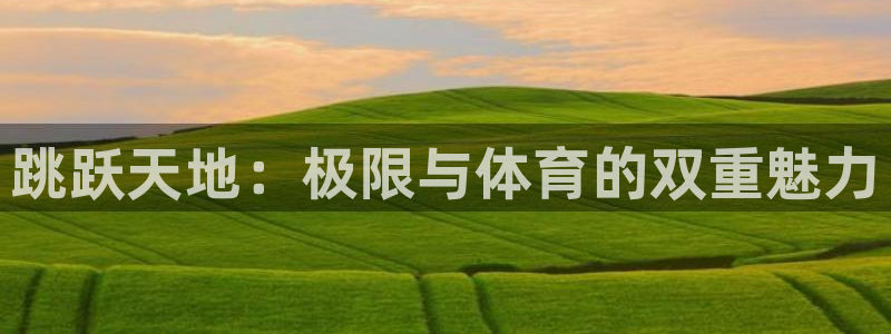 678体育官网