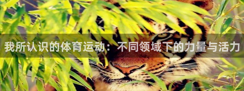 678体育