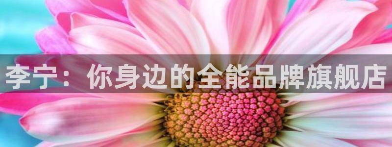 678体育官网