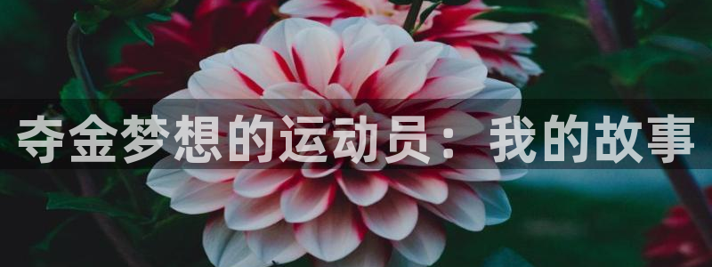 678体育app