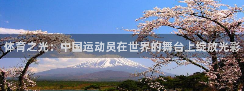 678体育官网