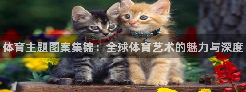 皇冠678体育