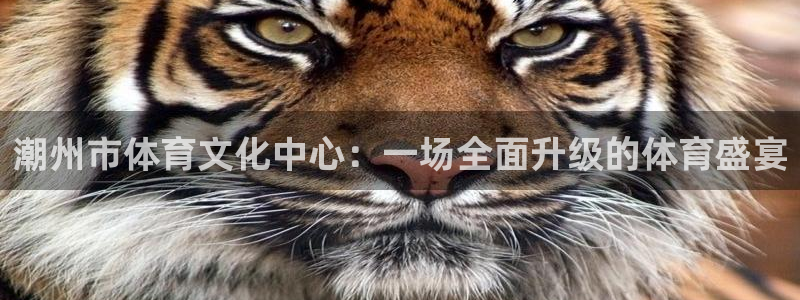 678体育官网地址