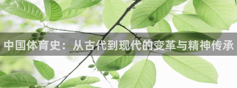 678体育官网下载