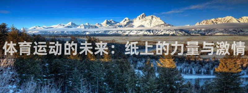 678体育官网