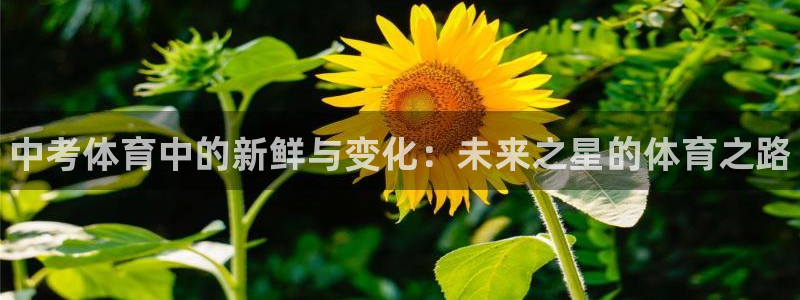 678体育知识