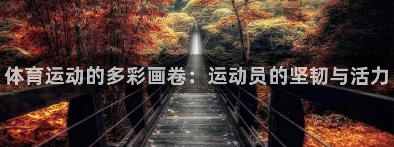678体育官网地址