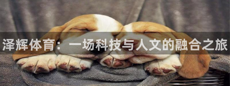 678体育官网地址：泽辉体育：一场科技与人文的融合之旅