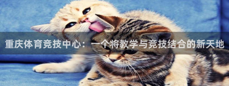 678体育官网地址：重庆体育竞技中心：一个将教学与竞技结合的新天地