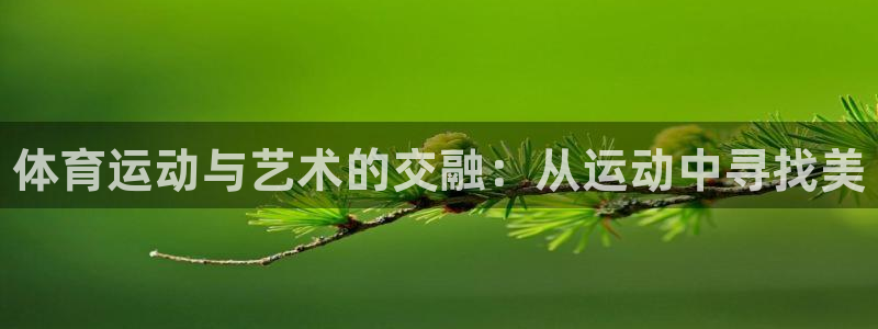 678体育app：体育运动与艺术的交融：从运动中寻找美
