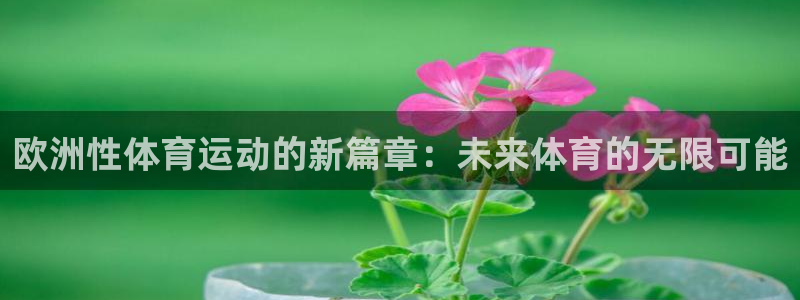 678体育知识