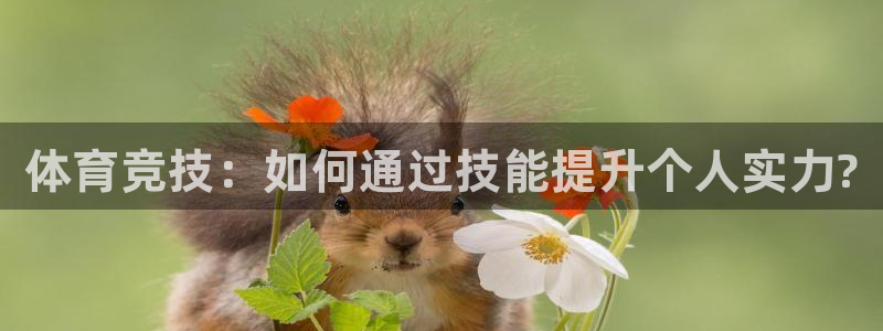 678体育官网下载：体育竞技：如何通过技能提升个人实力?